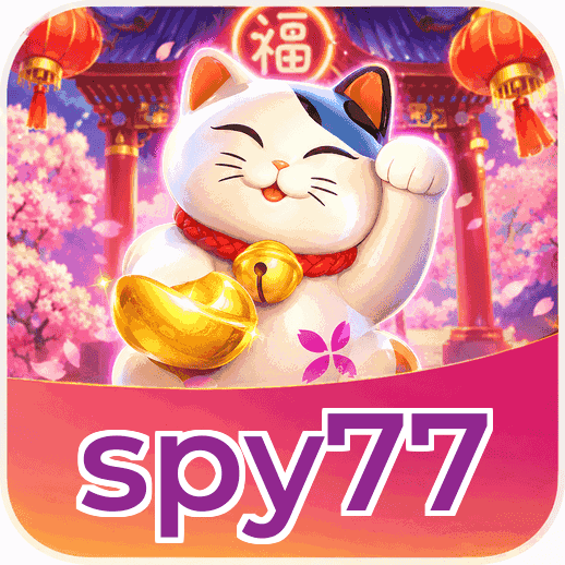 Screenshot 3 - spy77 Settings